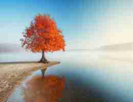 seo具‍体‌怎​么‌优‌化​